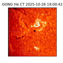 gong - 2025-10-26T19:00:42