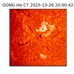 gong - 2025-10-26T20:00:42