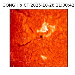 gong - 2025-10-26T21:00:42