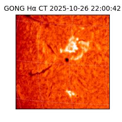 gong - 2025-10-26T22:00:42