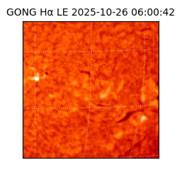 gong - 2025-10-26T06:00:42