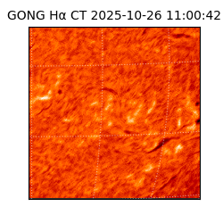 gong - 2025-10-26T11:00:42