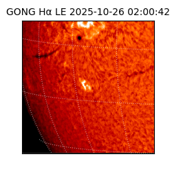 gong - 2025-10-26T02:00:42