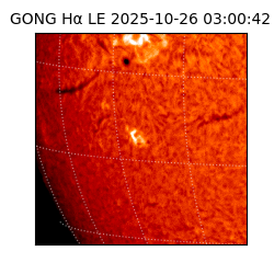 gong - 2025-10-26T03:00:42