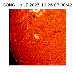 gong - 2025-10-26T07:00:42