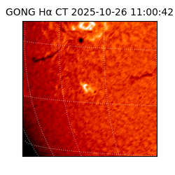gong - 2025-10-26T11:00:42