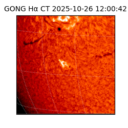 gong - 2025-10-26T12:00:42