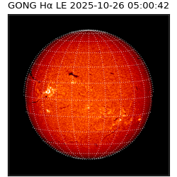 gong - 2025-10-26T05:00:42