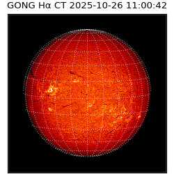gong - 2025-10-26T11:00:42
