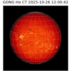 gong - 2025-10-26T12:00:42