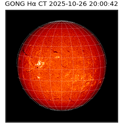 gong - 2025-10-26T20:00:42