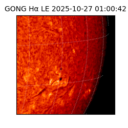 gong - 2025-10-27T01:00:42