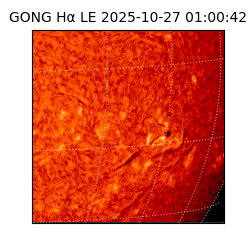 gong - 2025-10-27T01:00:42