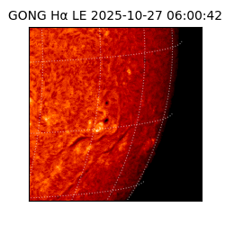 gong - 2025-10-27T06:00:42