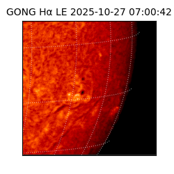 gong - 2025-10-27T07:00:42