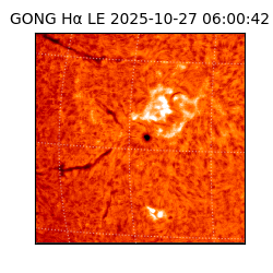 gong - 2025-10-27T06:00:42