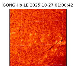 gong - 2025-10-27T01:00:42