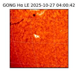 gong - 2025-10-27T04:00:42