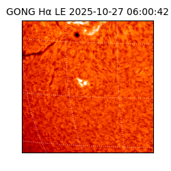 gong - 2025-10-27T06:00:42
