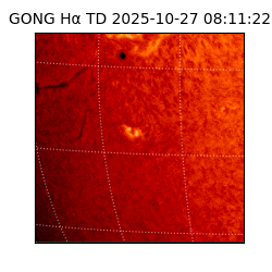 gong - 2025-10-27T08:11:22