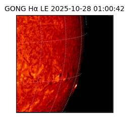 gong - 2025-10-28T01:00:42