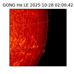 gong - 2025-10-28T02:00:42