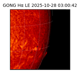 gong - 2025-10-28T03:00:42
