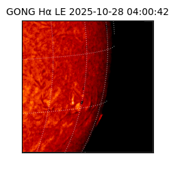 gong - 2025-10-28T04:00:42