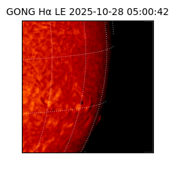 gong - 2025-10-28T05:00:42