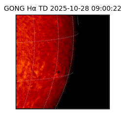 gong - 2025-10-28T09:00:22