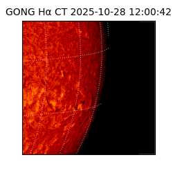gong - 2025-10-28T12:00:42