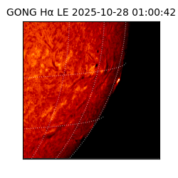 gong - 2025-10-28T01:00:42