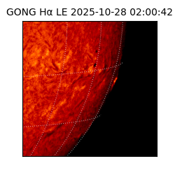gong - 2025-10-28T02:00:42
