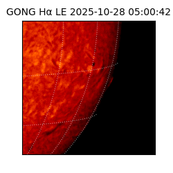 gong - 2025-10-28T05:00:42