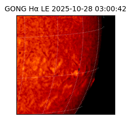 gong - 2025-10-28T03:00:42