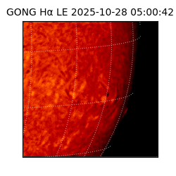 gong - 2025-10-28T05:00:42