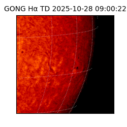 gong - 2025-10-28T09:00:22