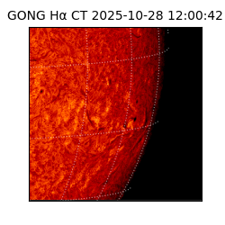gong - 2025-10-28T12:00:42