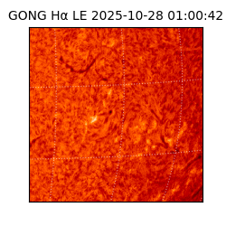 gong - 2025-10-28T01:00:42