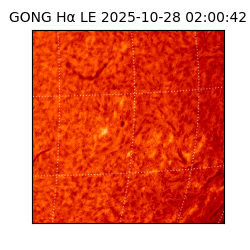gong - 2025-10-28T02:00:42