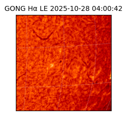 gong - 2025-10-28T04:00:42