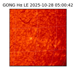gong - 2025-10-28T05:00:42
