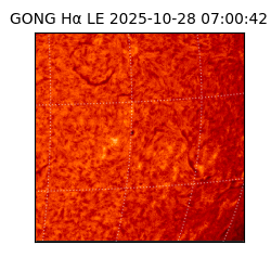 gong - 2025-10-28T07:00:42