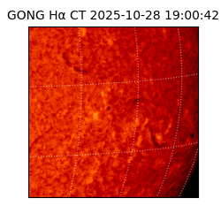 gong - 2025-10-28T19:00:42