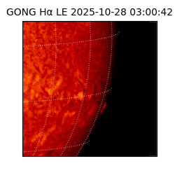 gong - 2025-10-28T03:00:42