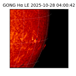 gong - 2025-10-28T04:00:42