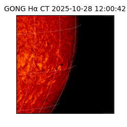 gong - 2025-10-28T12:00:42