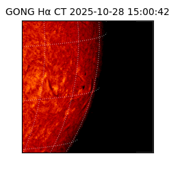gong - 2025-10-28T15:00:42