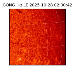 gong - 2025-10-28T02:00:42