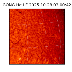 gong - 2025-10-28T03:00:42